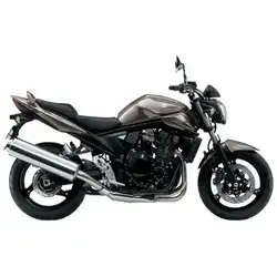Suzuki GSF1250 Bandit 