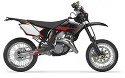 GasGas 250